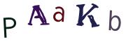 Bild-CAPTCHA