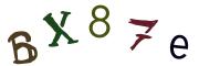 Bild-CAPTCHA