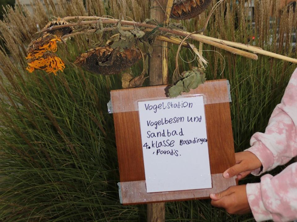 Schöpfungsausstellung Diessenhofen