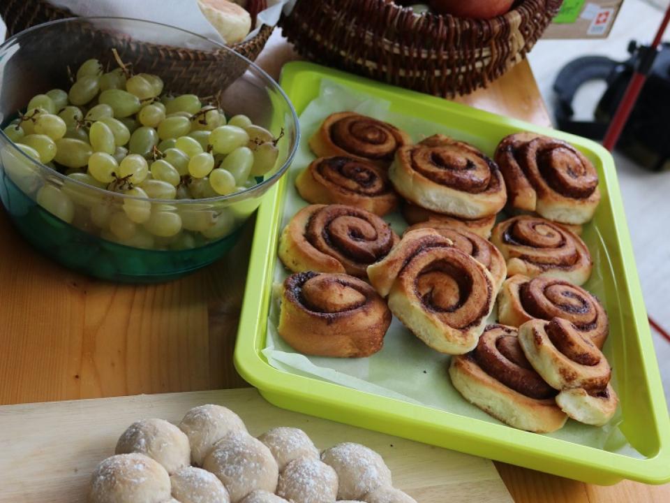 Schöpfungsausstellung Diessenhofen