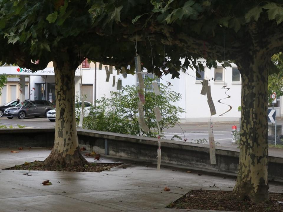 Schöpfungsausstellung Diessenhofen