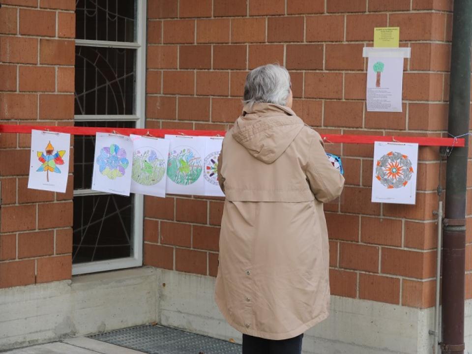 Schöpfungsausstellung Diessenhofen