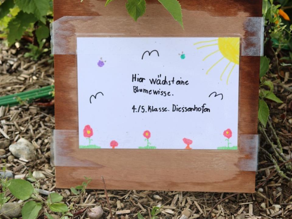 Schöpfungsausstellung Diessenhofen