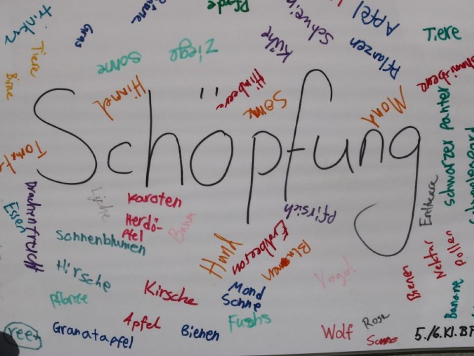 Schöpfungsausstellung Diessenhofen