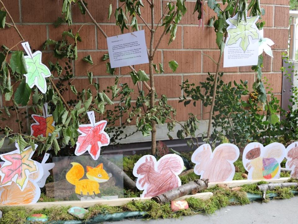 Schöpfungsausstellung Diessenhofen