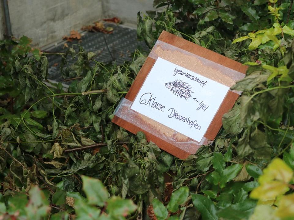 Schöpfungsausstellung Diessenhofen