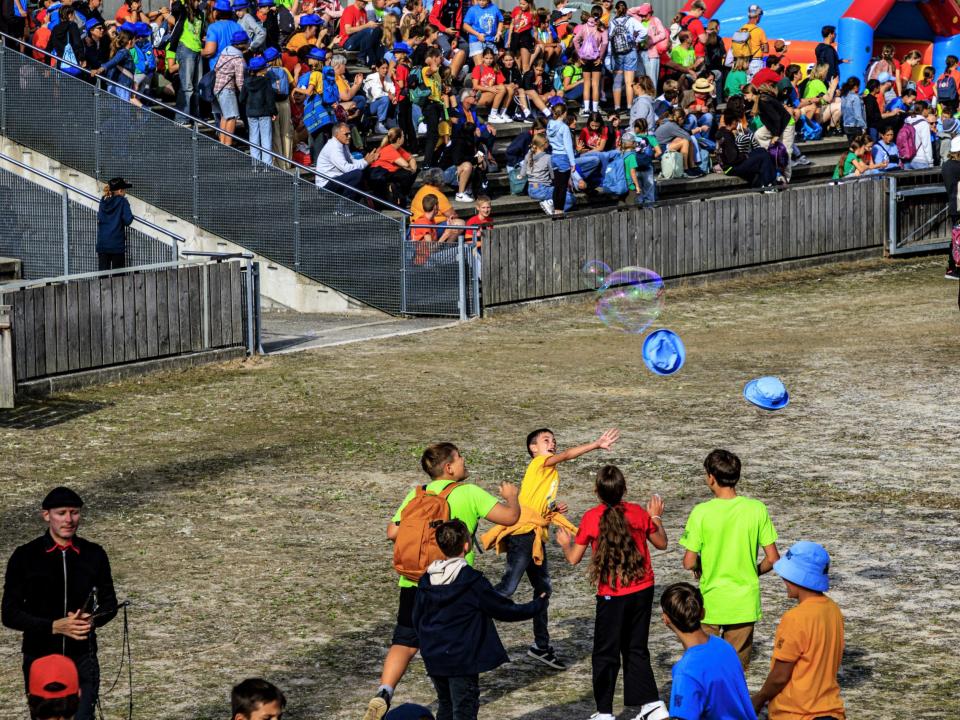 Minifest
