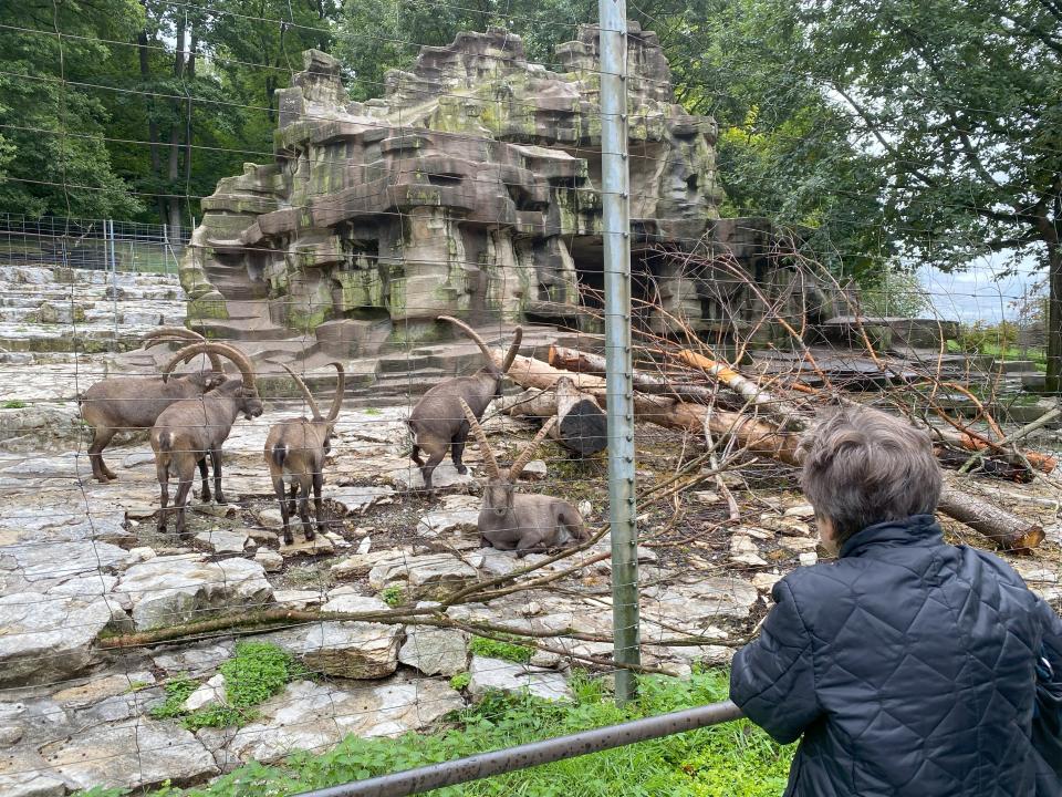 Seniorenausflug