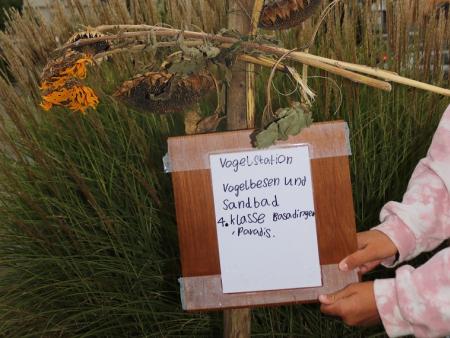 Schöpfungsausstellung Diessenhofen