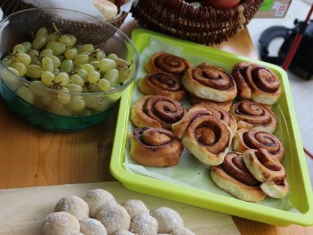 Schöpfungsausstellung Diessenhofen