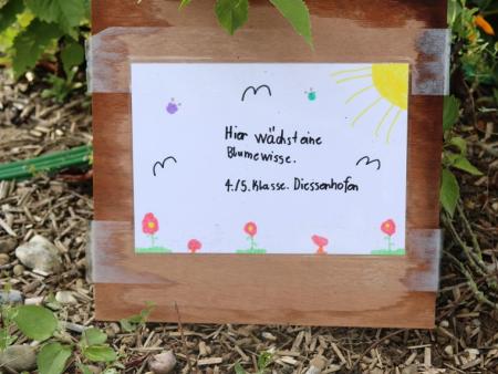 Schöpfungsausstellung Diessenhofen