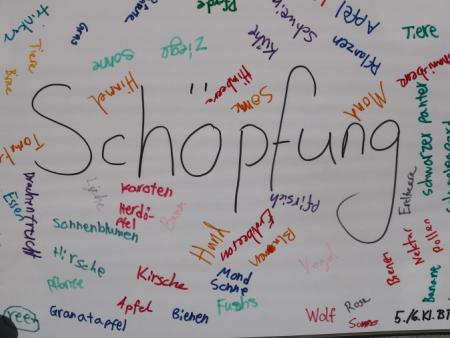 Schöpfungsausstellung Diessenhofen