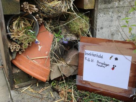 Schöpfungsausstellung Diessenhofen