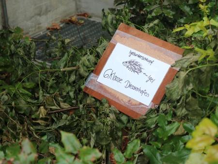 Schöpfungsausstellung Diessenhofen