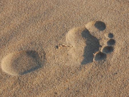 Liebe Christinnen und Christen im Pastoralraum Am See und Rhy