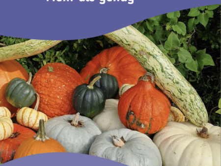 Liebe Christinnen und Christen im Pastoralraum Am See und Rhy