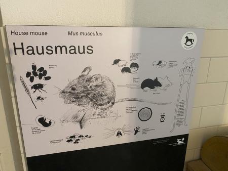 Seniorenausflug