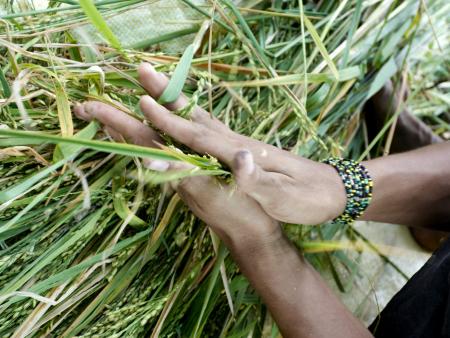 Liebe Christinnen und Christen im Pastoralraum Am See und Rhy