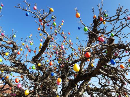 Liebe Christinnen und Christen im Pastoralraum Am See und Rhy