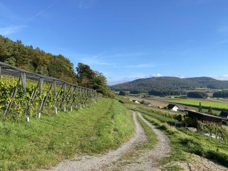 Liebe Christinnen und Christen im Pastoralraum Am See und Rhy