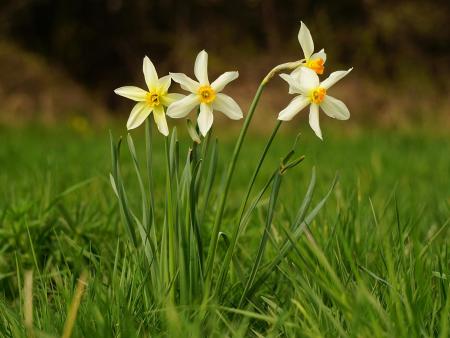 Herzliche Ostergrüsse