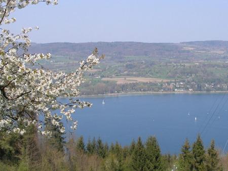 Schöne Ferien